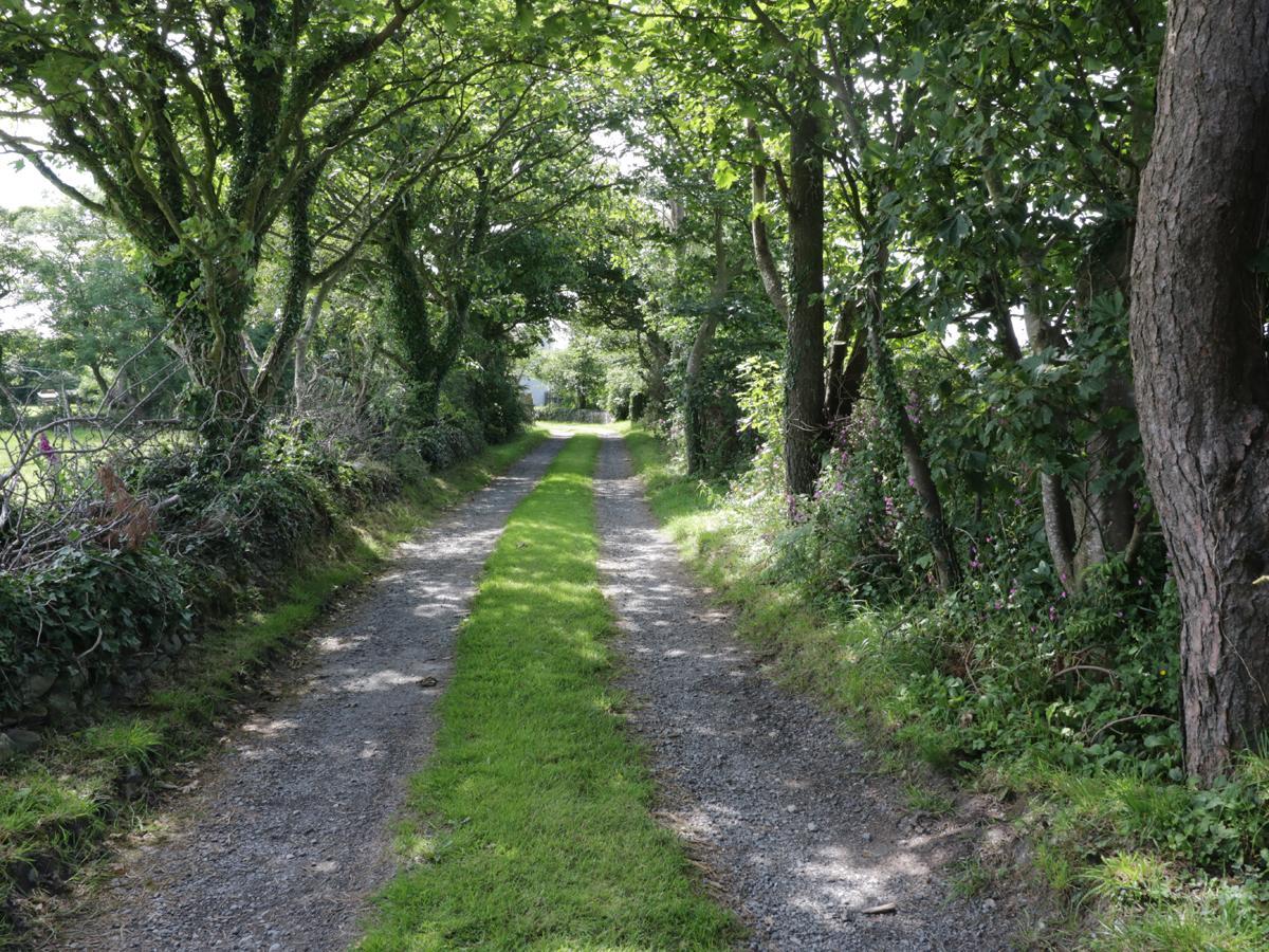 Bodegri Cottage Llanfflewyn 외부 사진